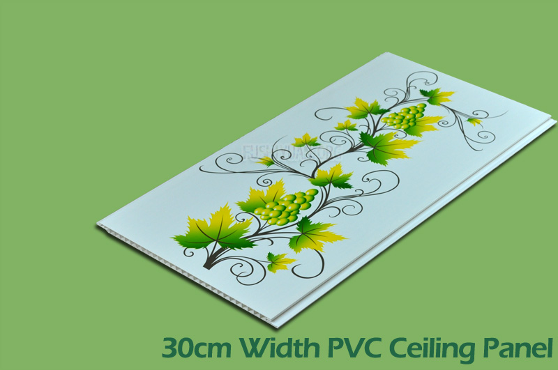 30cm Width Series